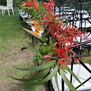 pasillo de flores al altar boda al aire libre