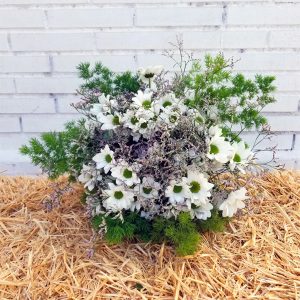 ramo de flores con margaritas silvestre