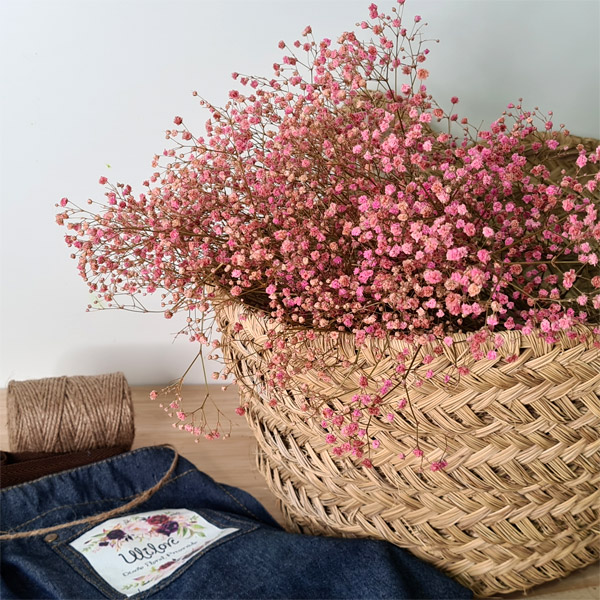 paniculata rosa para decoración del hogar