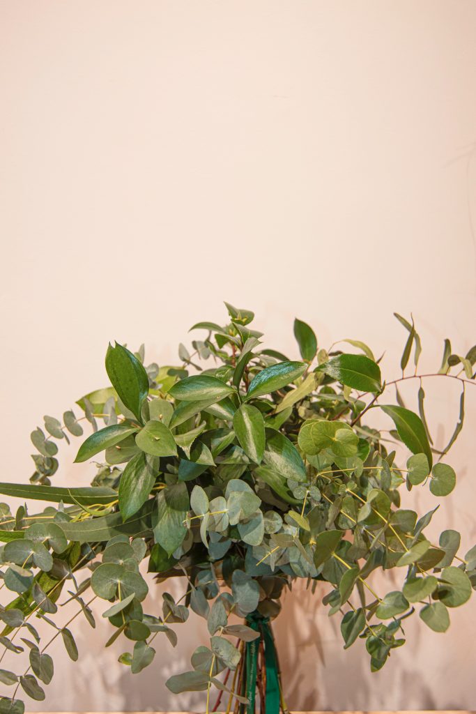 Ramo de verdes